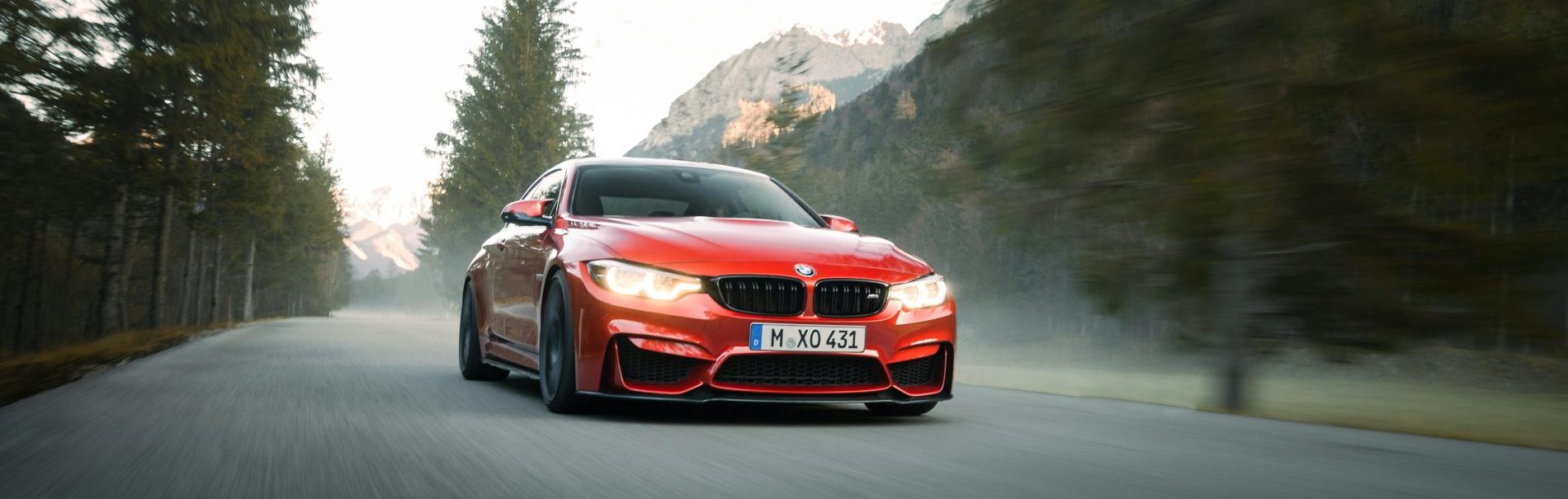 Pexels Louis Gys 218031041 12040980